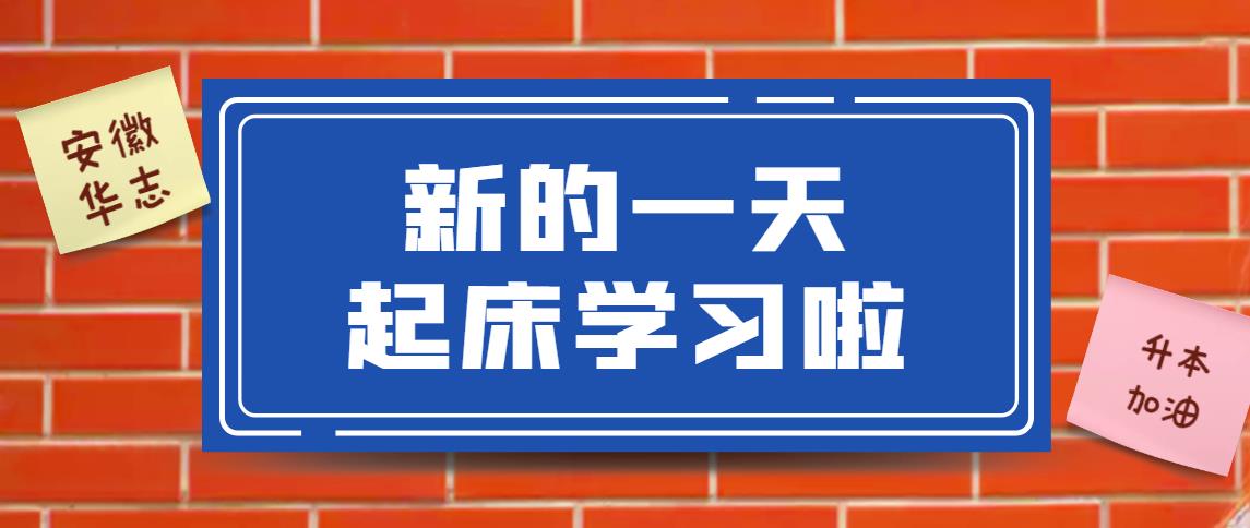 本友们都几点起床？不说了我要卷起来！